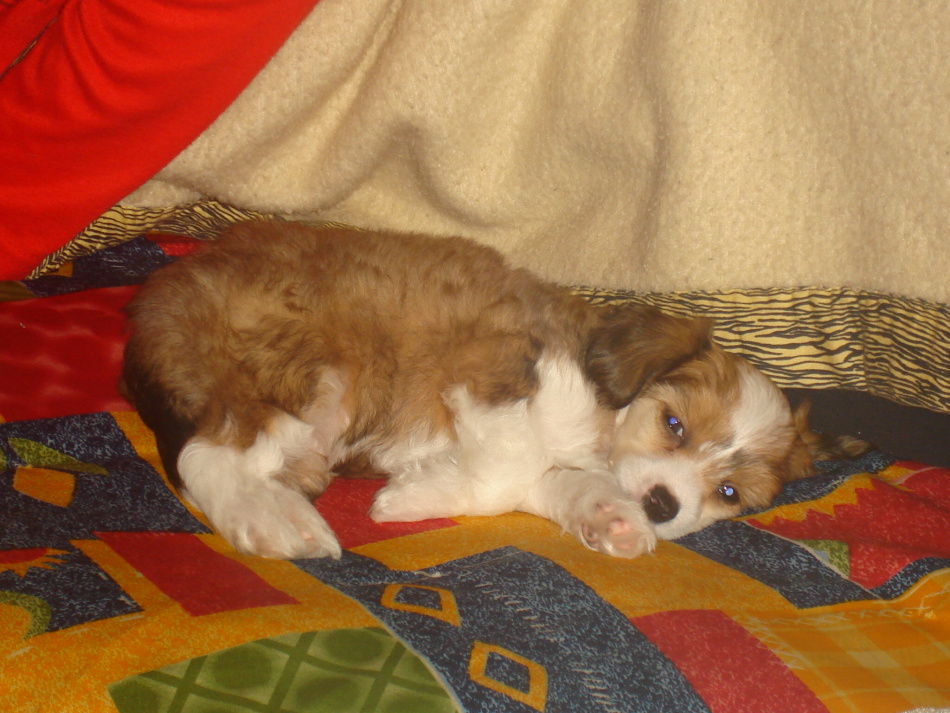 miminko08 012.jpg